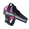 Discover the Perfect Fit for Your Furry Friend! Our Stylish and Comfortable Reflective Harness - Tailored Just for Them!